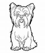Yorkshire Yorkie Colorier sketch template
