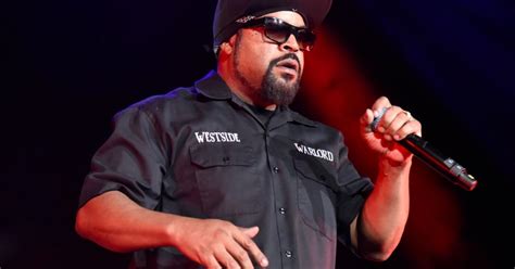 ice cube helps trump  platinum plan  black americans  campaign promptly