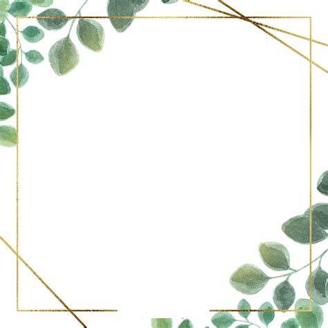 eucalyptus leaf frame border design eucalyptus frame template png