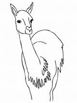 Guanaco Coloring America South Curious Capybara Printable Clipart Pages Realistic Color Getcolorings Library Supercoloring Unbelievable Categories Comments sketch template
