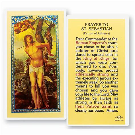 laminated holy card st sebastian ewtn religious catalogue