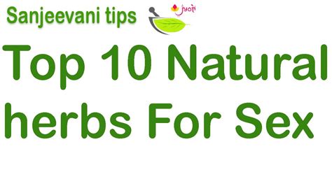 top 10 natural🌱herbs for sex💏 youtube