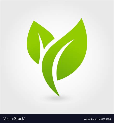 eco icon green leaf isolated royalty  vector image