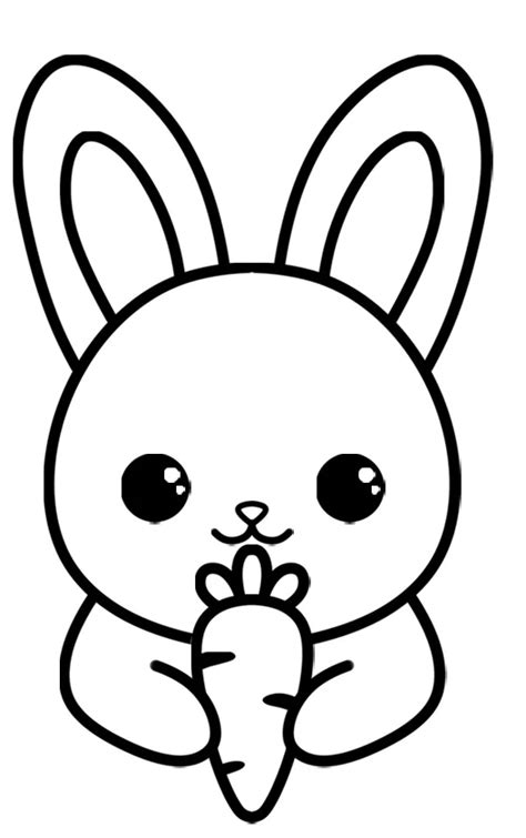 details    bunny rabbit sketch  ineteachers