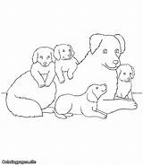 Dog Mom Coloring Puppies sketch template