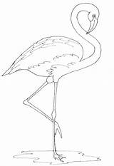 Flamingo Flamingos Line Pink Drawing Coloring Draw Printable Drawings Painting Outline Pattern Friday Stencil Justpaintitblog Templates Paint Template Decor Stencils sketch template