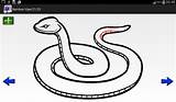 Snake Designlooter Snakes Poisonous Draw sketch template