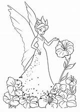 Fairy Coloring Pages Flower Near Tinker Bell sketch template