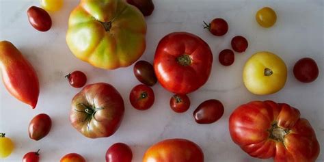 How To Make Summer Tomatoes Last Longer Self