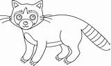 Raccoon Clip Colorable Clipart Outline Coloring Line Template Pages Clipartix Sweetclipart sketch template