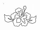 Hibiscus Ausmalbilder Adults Coloringhome Bestcoloringpagesforkids sketch template