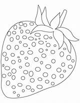 Strawberry Coloring Pages Fruit Kids Strawberries Fruits Color Drawing Worksheets Sheets Seed Ripe Books Spirit Handwriting Practice Craft Printable Basteln sketch template