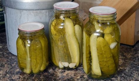 Grandma S Dill Pickle Recipe • Lovely Greens