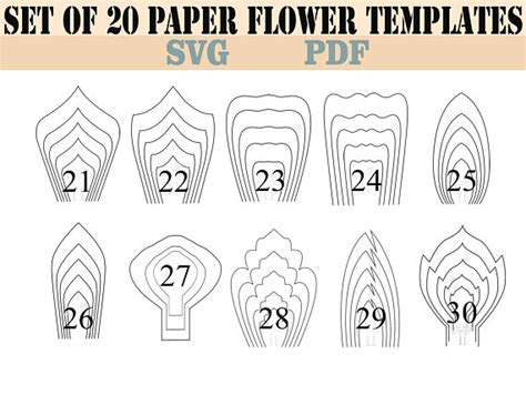listing   petals    svg create   paper