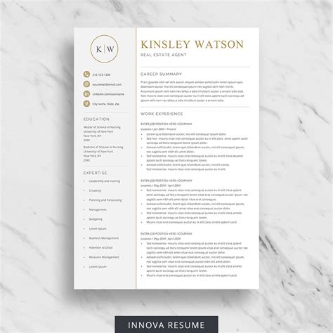 executive resume template word