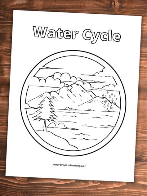 water cycle coloring pages  kids nature inspired learning