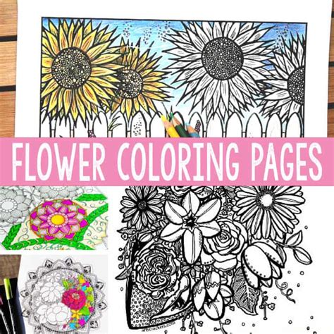 printable coloring pages  adults flowers