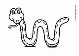 Snake Coloring Pages Kids Drawing Animals Animal Printable Print Snakes Kid Fox Cobra Colouring Children King Outline Clipart Drawings Color sketch template