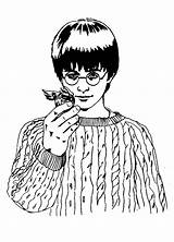 Potter Harry Coloring Pages Philosophers Stone Library Clipart sketch template