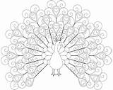 Peacock Coloring Pages Printable Outline Color Hearts Heart Print Tattoo Colouring Kids Mandala Realistic Sheets Patterned Tail Sweet Adult Drawings sketch template