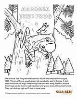 Arizona Tree Coloring Frog Pages State Printable Artwork Amphibian Template sketch template