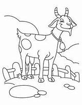 Goat Coloring Pages Farm Boer Farming Goats Color Colorluna Colorir Para Animals Printable Colouring Getcolorings Billy Drawing Fresh Cartoon Animal sketch template
