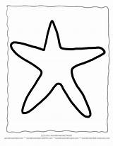 Starfish Outlines Crafts Echo Wildlife Printouts Coloringhome Wonderweirded sketch template