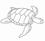 Tortuga Colorir Turtles Tartaruga Tortue Tortugas Dibujar Coloriage Marinha Imprimir Supercoloring Tartarugas Crafts Marinas Infantis Colorier Getdrawings Reptilien Ausmalbilder Coloriages sketch template