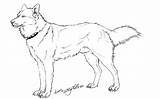 Husky Coloring Outline Pages Realistic Wolf Drawing Dog Dogs Siberian Clipart Line Deviantart Color Whitespiritwolf Drawings Outlines Face Adult Baby sketch template
