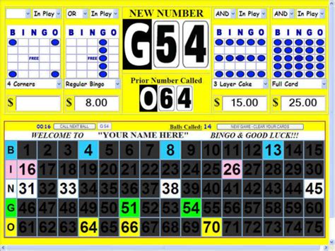 bingo software deluxe computer bingo calling system display