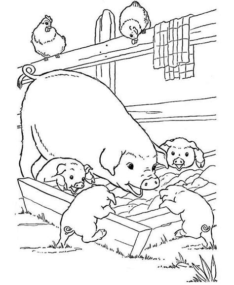 mother pig   babies  eating  farm animal coloring page