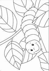Caterpillar Coloring Raupe Kleurplaten Nimmersatt Schmetterling Kleurplaat Kleine Rups Malvorlage Mandalas Malvorlagen Frühling Ausmalen Kigaportal Rupsje Nooitgenoeg Tissue Käfer Grasshopper sketch template