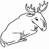 Moose Coloring Pages Sitting Cute Drawing Printable Color Monkey Getdrawings Template Supercoloring Categories sketch template