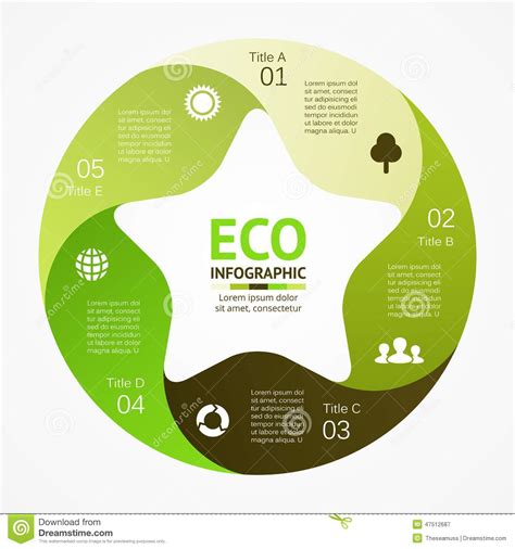 eco infographic diagram  options parts steps stock vector image