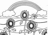 Girasoli Colorare Simboleggiano Sole sketch template