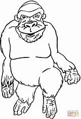 Gorilla Coloring Pages Gorillas Printable Supercoloring Categories sketch template