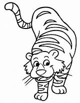 Harimau Mewarnai Tigre Colorir Cartoon Sebarkan Colornimbus Tk sketch template