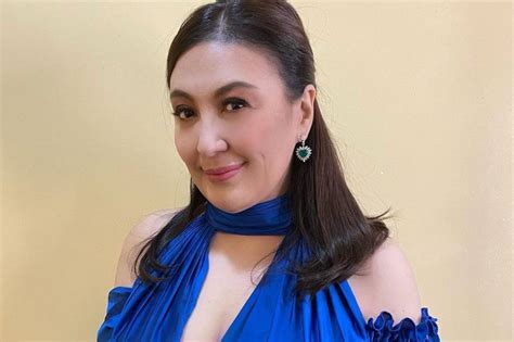 lost  space sharon maintains  hasnt  plastic surgery   face abs cbn news