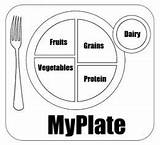 Myplate Food Pyramid Coloring Pages Healthy Plate Kids Worksheets Choose Colorear Color Para Template Alimentos Worksheeto Worksheet Easy Nutrition Via sketch template