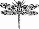 Dragonfly Doodle sketch template