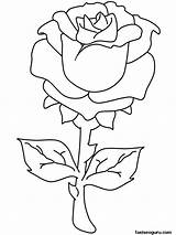 Coloring Pages Printable Valentines Rose Roses Valentine Kids Desktop Right Background Set Click Save Fun sketch template