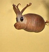 Afbeeldingsresultaten voor "helicocranchia Pfefferi". Grootte: 174 x 185. Bron: www.pinterest.com