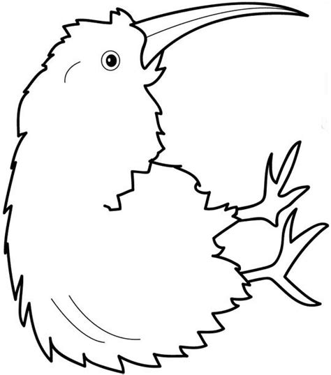 kiwi bird coloring page clipart