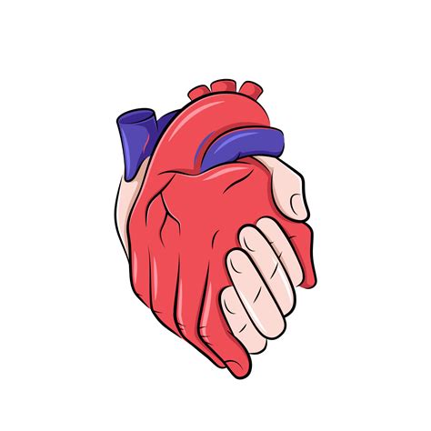 hands   shape   realistic human heart love concept illustration