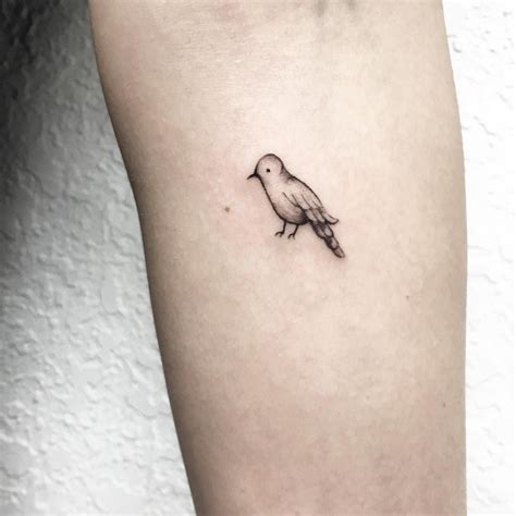 stylish tattoos  women tiny bird tattoos cute animal