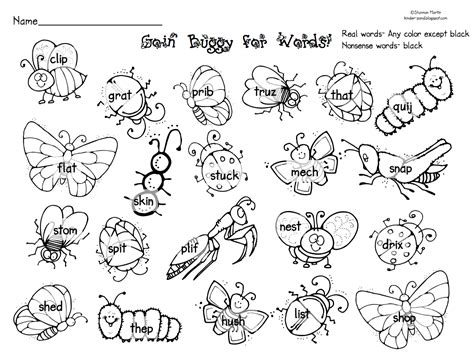 insect body parts  kids google search spider coloring page