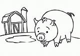 Pigs Piggy Clip Coloringhome sketch template
