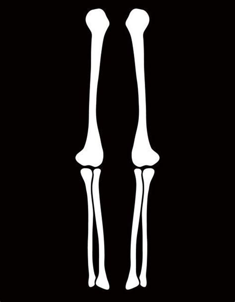 image result  skeleton legs template costume texture graphic