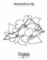 Flower sketch template