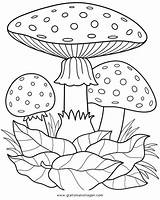 Herbst Pilz Coloriage Fliegenpilze Fliegenpilz Malvorlage Pilze Ausmalbilder Herbstmotive Natur Cathy épinglé Sur Coloriages Gratismalvorlagen Champignons Idata Jackie Automne Pinnwand sketch template